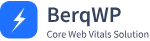 BerqWP – Speed Optimization on Autopilot – Low Price -19%